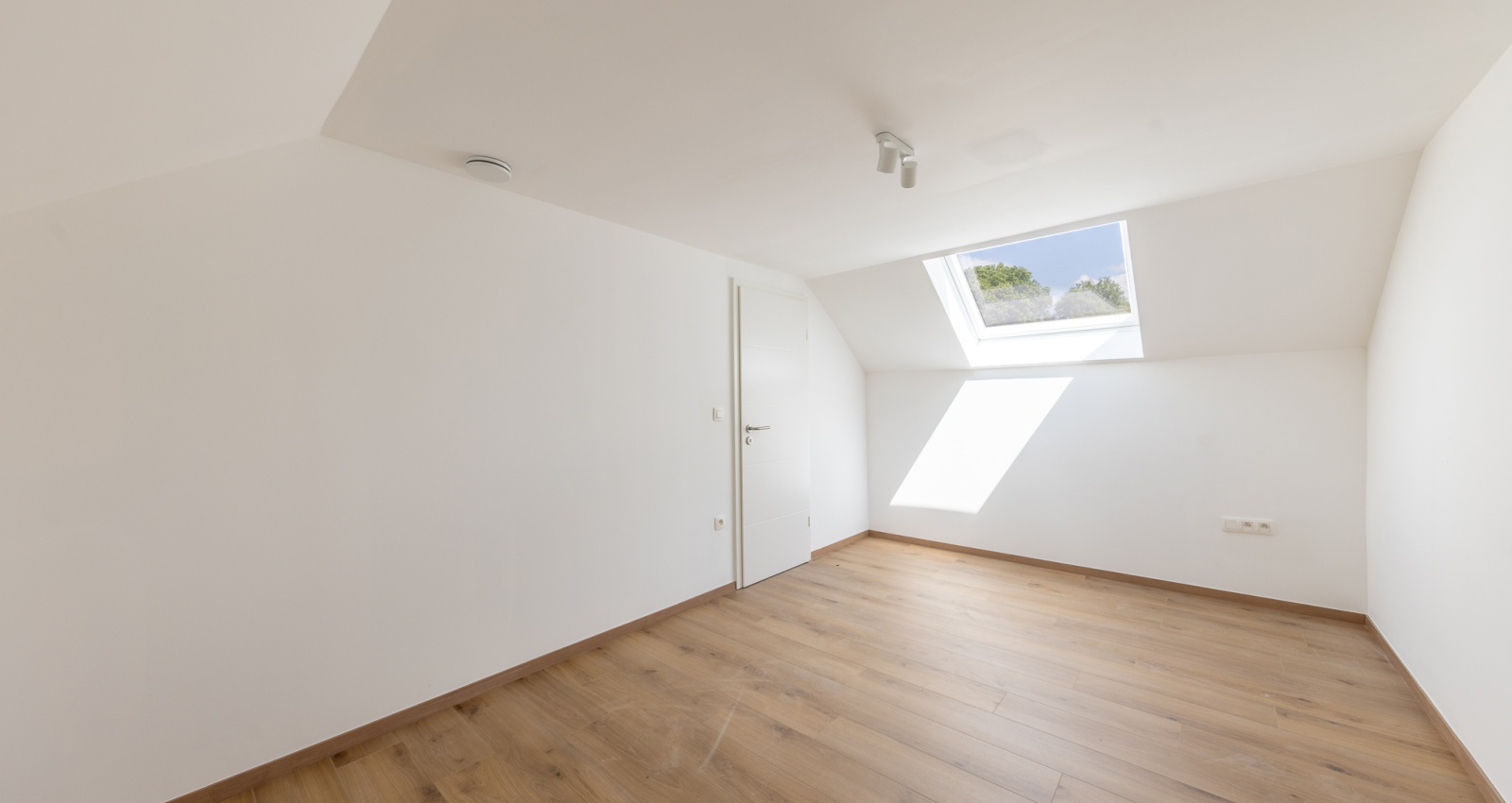 35 Rue du Saucy, Temploux, 5020, 6 Chambres Chambres, ,3 Salle de bainSalle de bain,Maison,à vendre,Rue du Saucy,1048